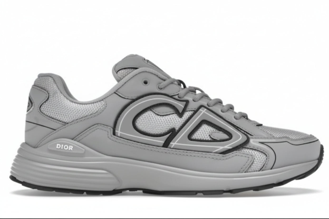 Dior B30 Grey